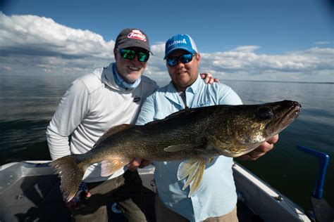 walleye fish|Walleye questions .